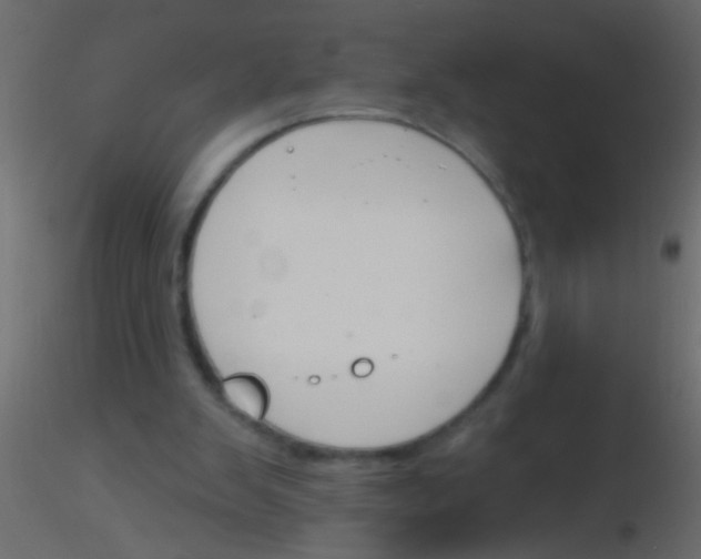 X0000115830103200912242004