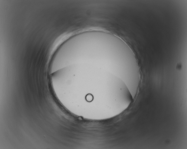 X0000115830104200912242004