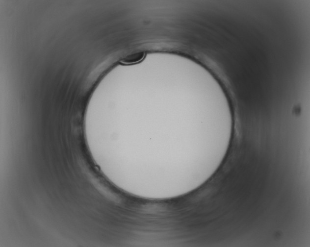 X0000115830105200912242004