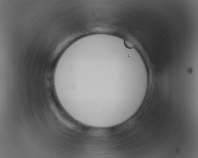 X0000115830106200912242004