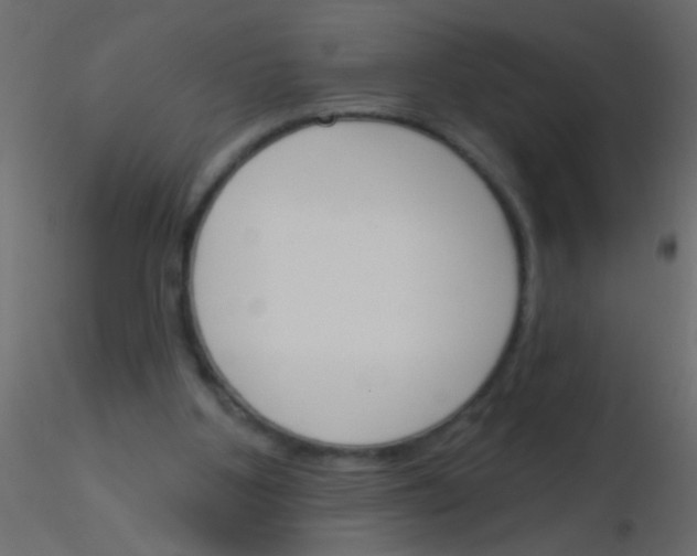 X0000115830107200912242004