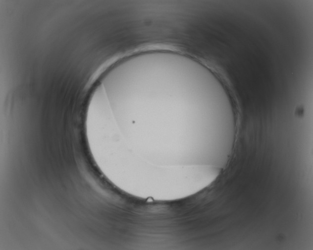 X0000115830108200912242004