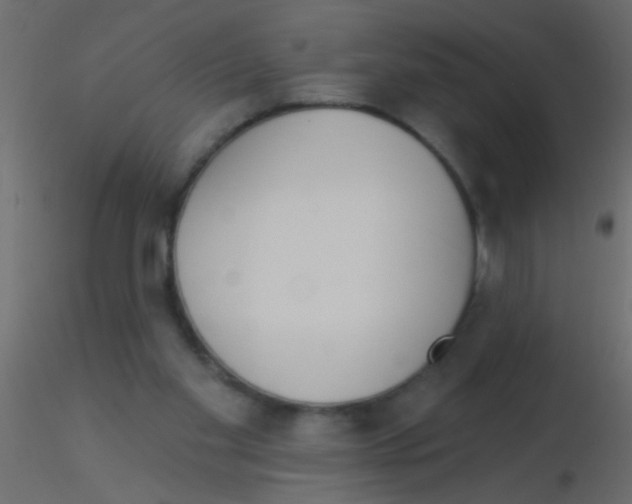 X0000115830109200912242004