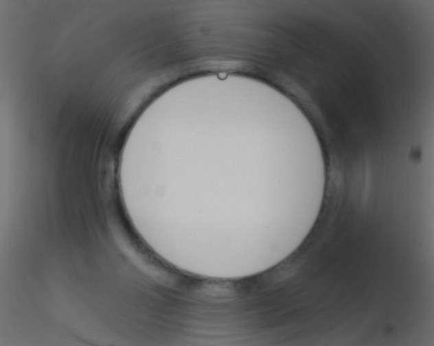 X0000115830110200912242004