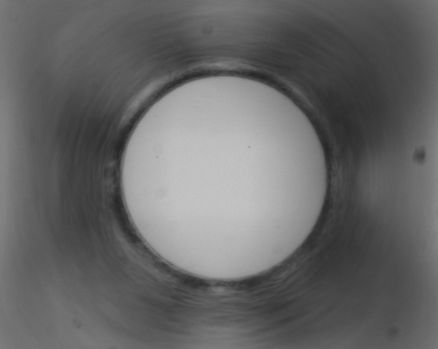 X0000115830111200912242004