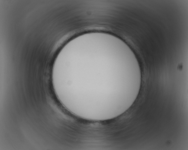 X0000115830112200912242004