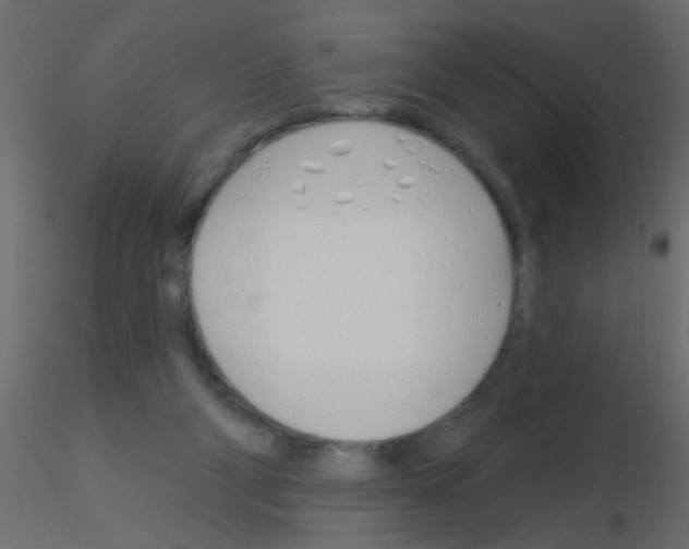 X0000115830114200912242004