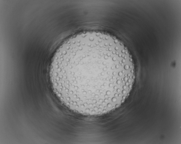 X0000115830115200912242004