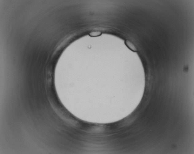 X0000115830116200912242004