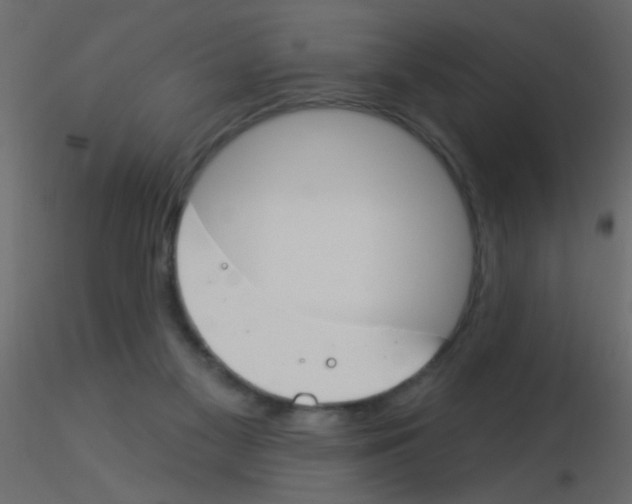 X0000115830117200912242004