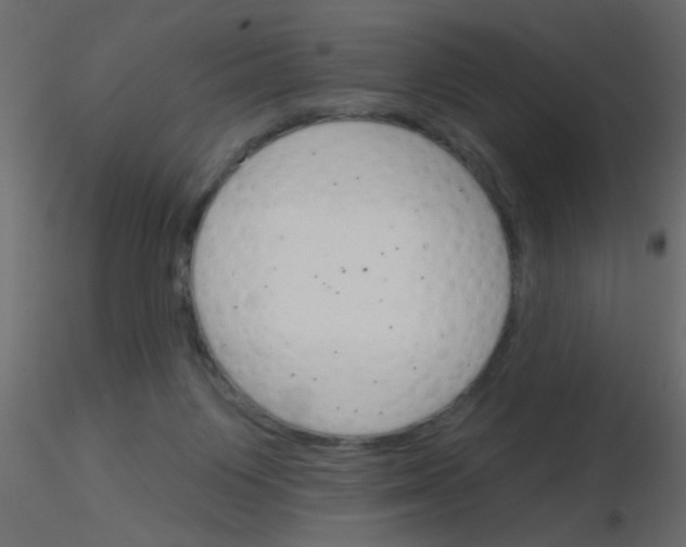 X0000115830119200912242004