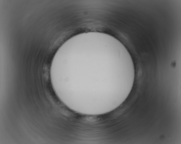 X0000115830121200912242004