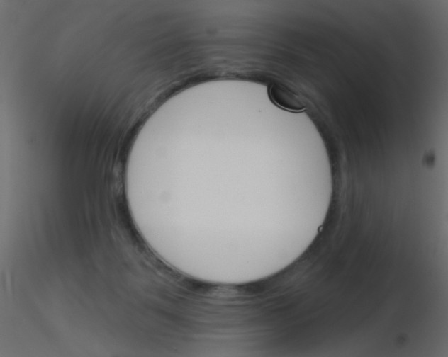 X0000115830123200912242004