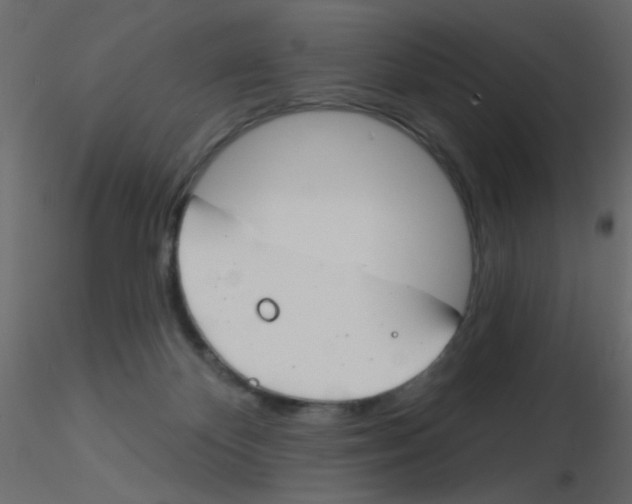 X0000115830124200912242004