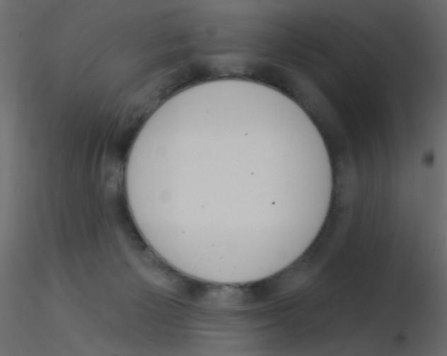 X0000115830125200912242004