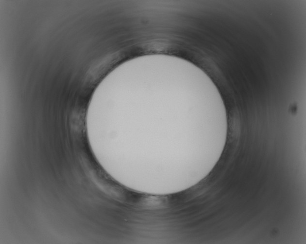 X0000115830126200912242004