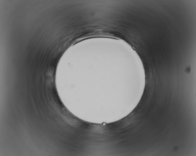 X0000115830127200912242004