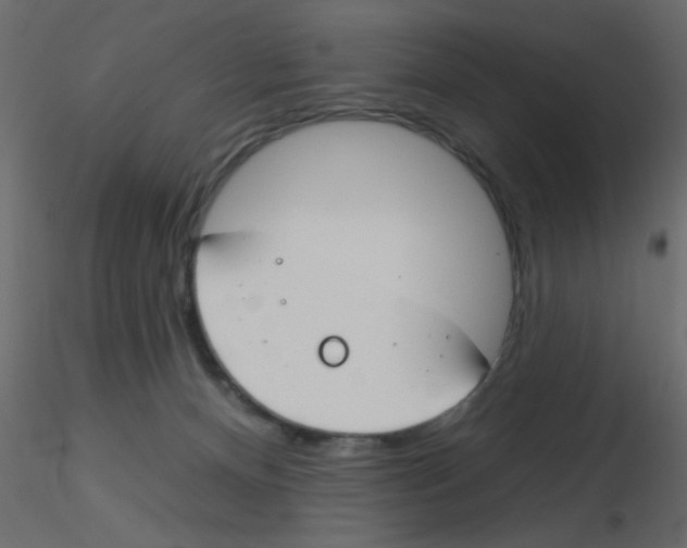 X0000115830128200912242004