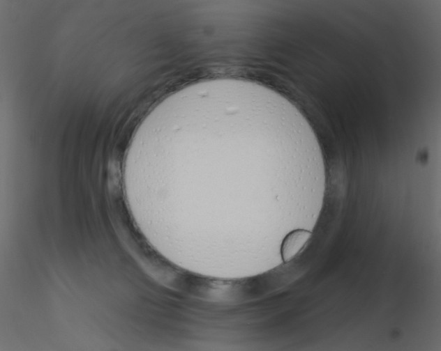 X0000115830130200912242004