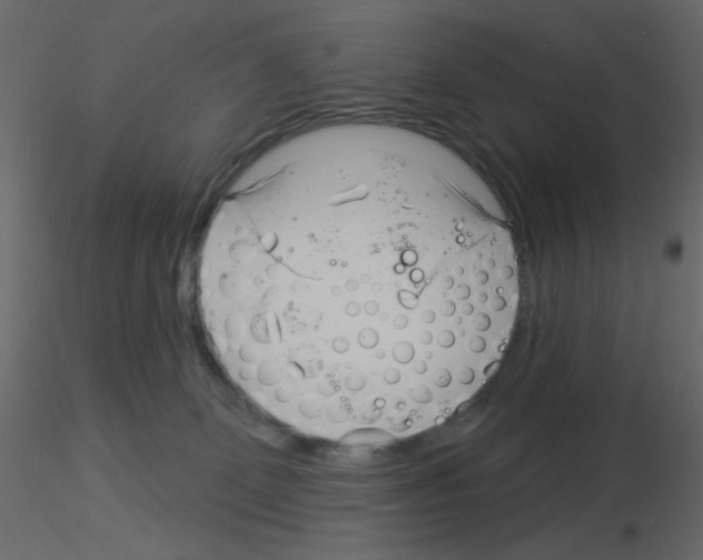 X0000115830131200912242004