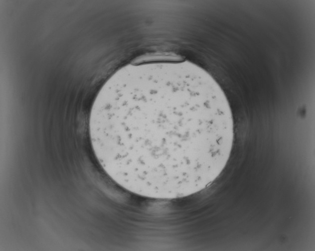 X0000115830132200912242004