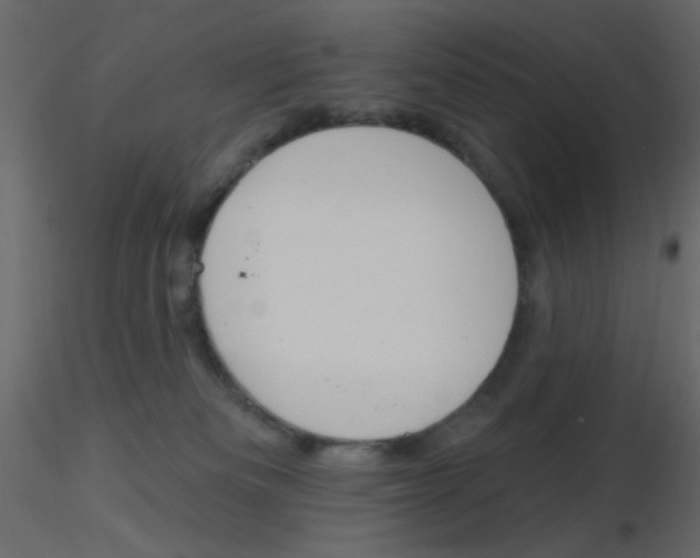 X0000115830133200912242004