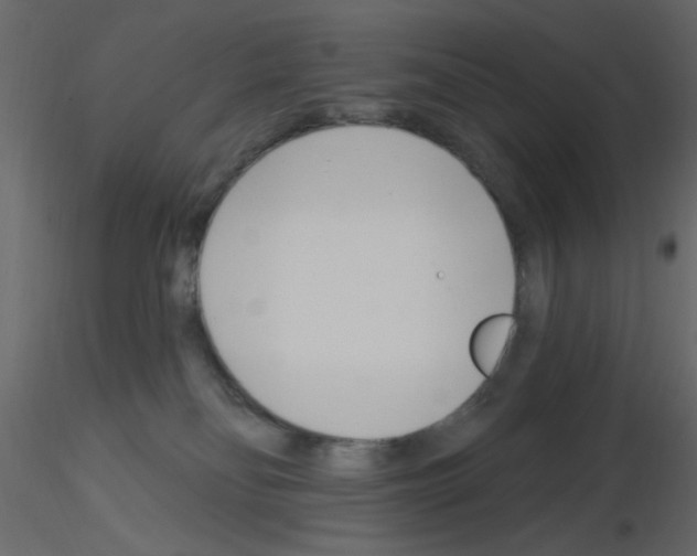 X0000115830134200912242004