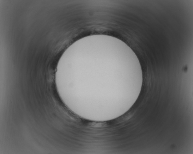 X0000115830135200912242004