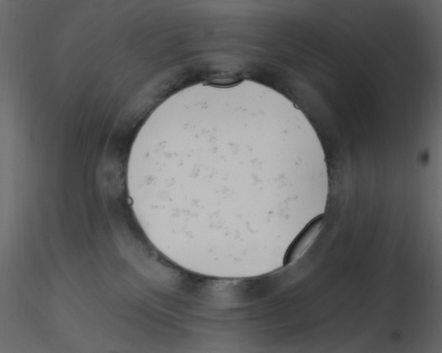 X0000115830136200912242004