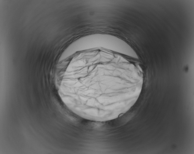 X0000115830139200912242004