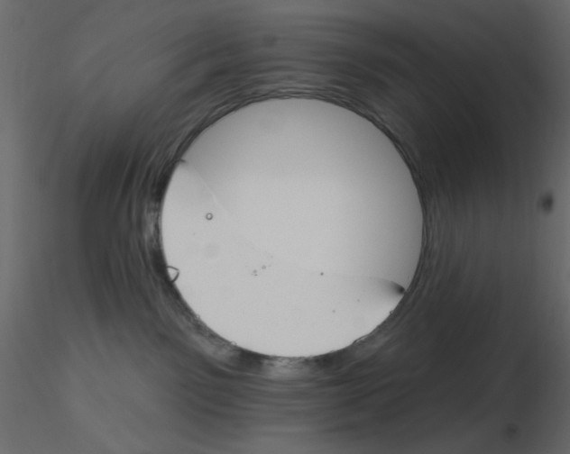 X0000115830141200912242004