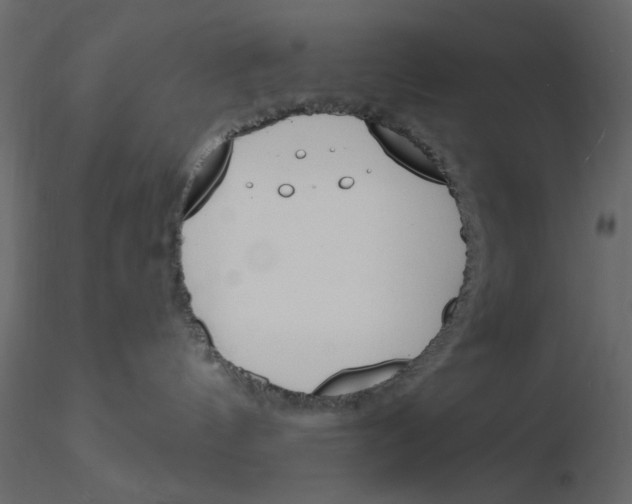 X0000115830144200912242004