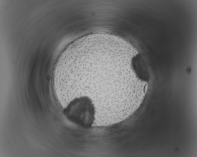 X0000115830145200912242003