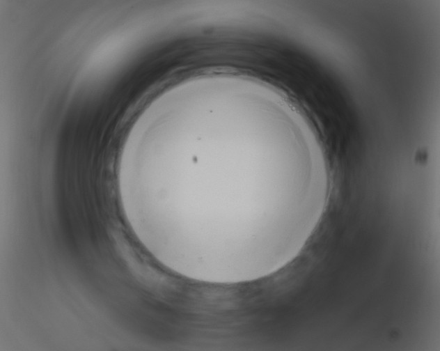 X0000115830146200912242003