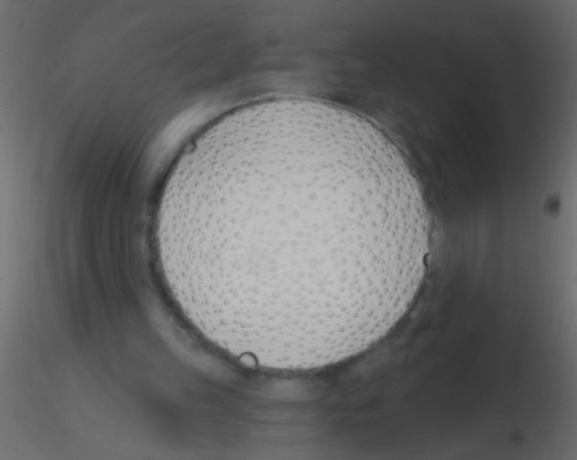 X0000115830149200912242003