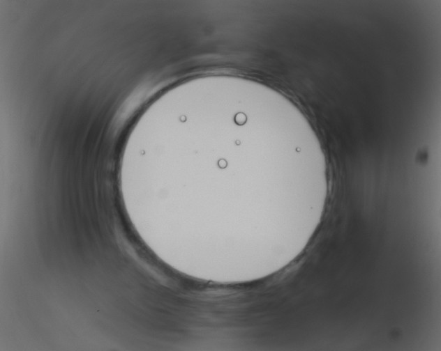 X0000115830150200912242003