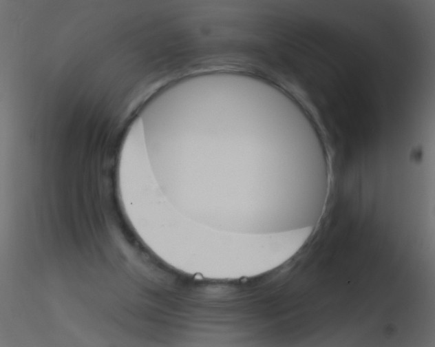 X0000115830154200912242003