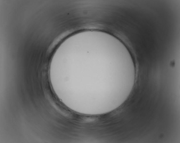 X0000115830155200912242003