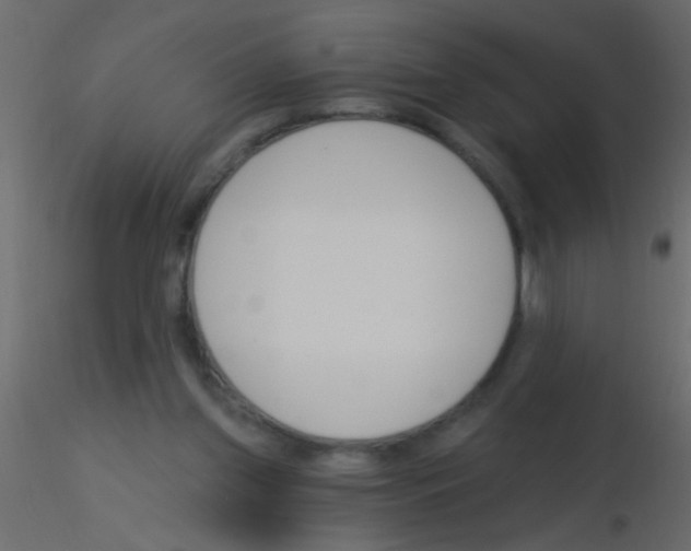 X0000115830157200912242003