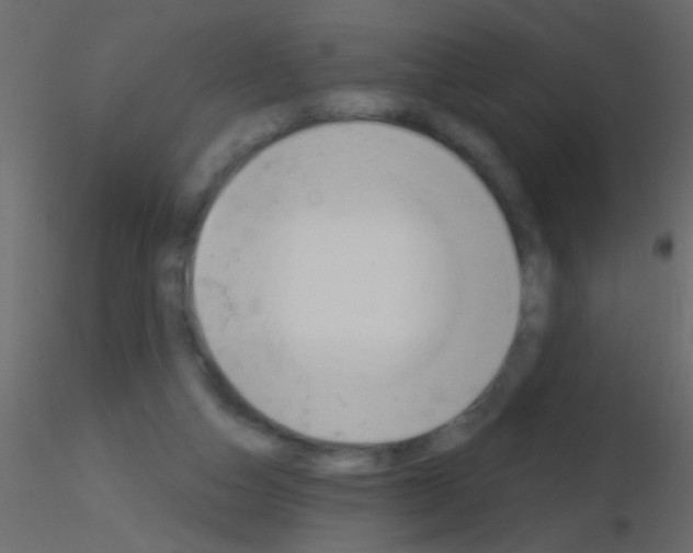 X0000115830162200912242003