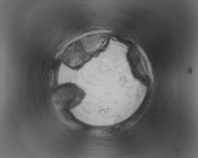 X0000115830165200912242003