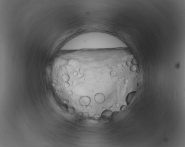 X0000115830167200912242003