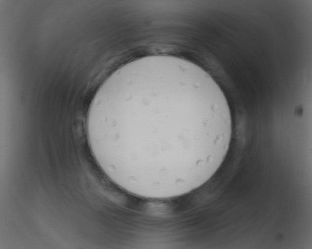 X0000115830169200912242003