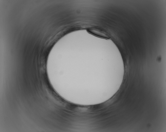 X0000115830170200912242003