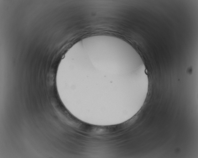 X0000115830174200912242003