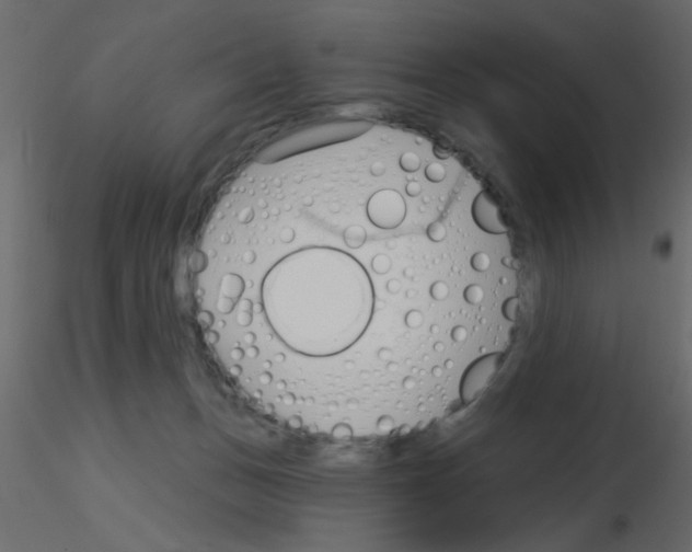 X0000115830175200912242003