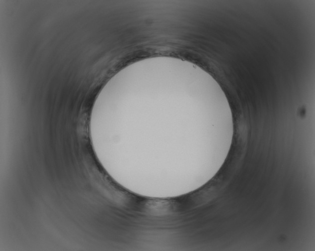 X0000115830181200912242003