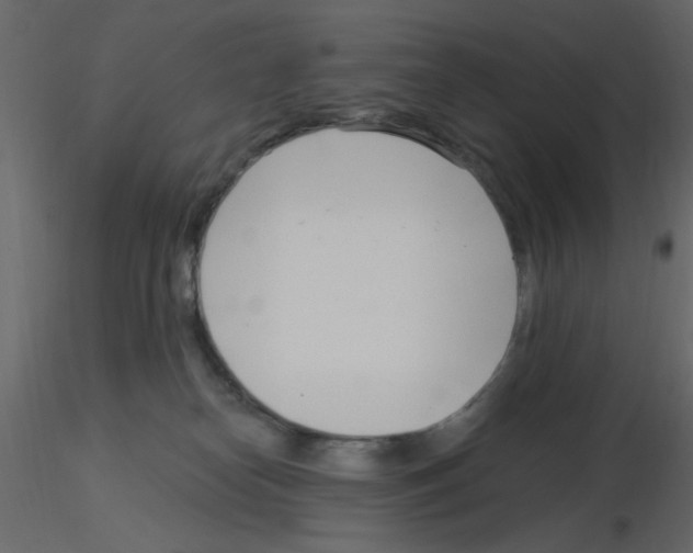 X0000115830182200912242003