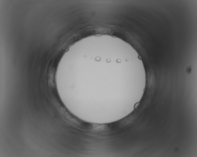 X0000115830185200912242003