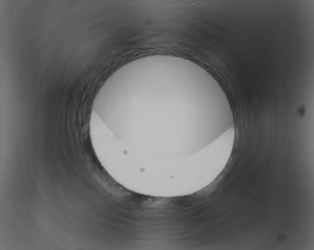 X0000115830186200912242003